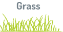 Surface Grass