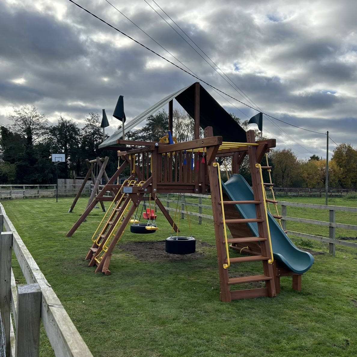  3 young children who love to swing!